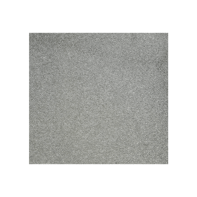 Spugna con filtro agli ioni d'argento